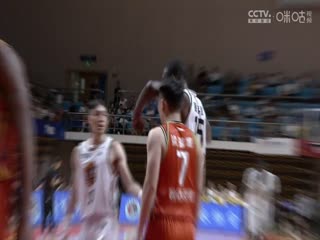 NBL 河南赊店老酒VS石家庄翔蓝 20240717